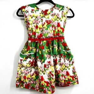 Hanna Andersson Tulip Dress Ric Rac Full Skirt Girls Floral Colorful Florals